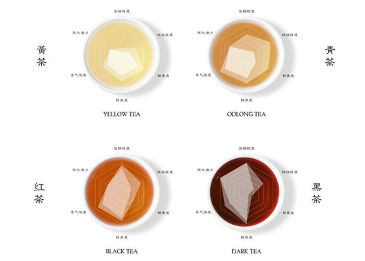 The Flavor Wheel | How AFTAC Grader Experience Tea