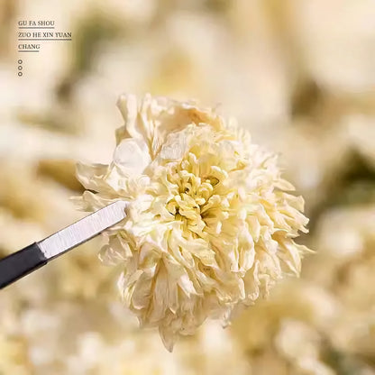 Imperial Chrysanthe