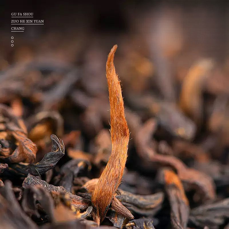 Golden Bud Pu Erh